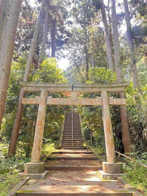 朝夷奈切通し