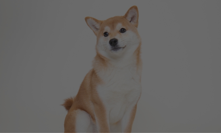 消臭