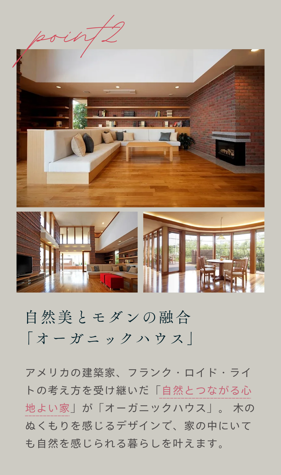 夜の見学会