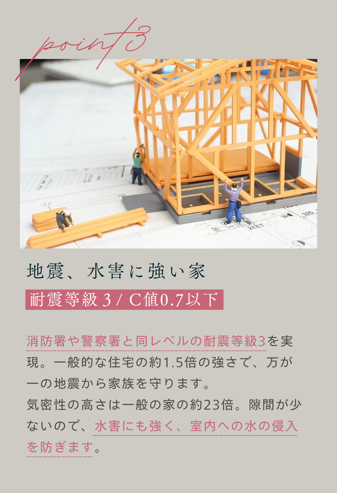 夜の見学会