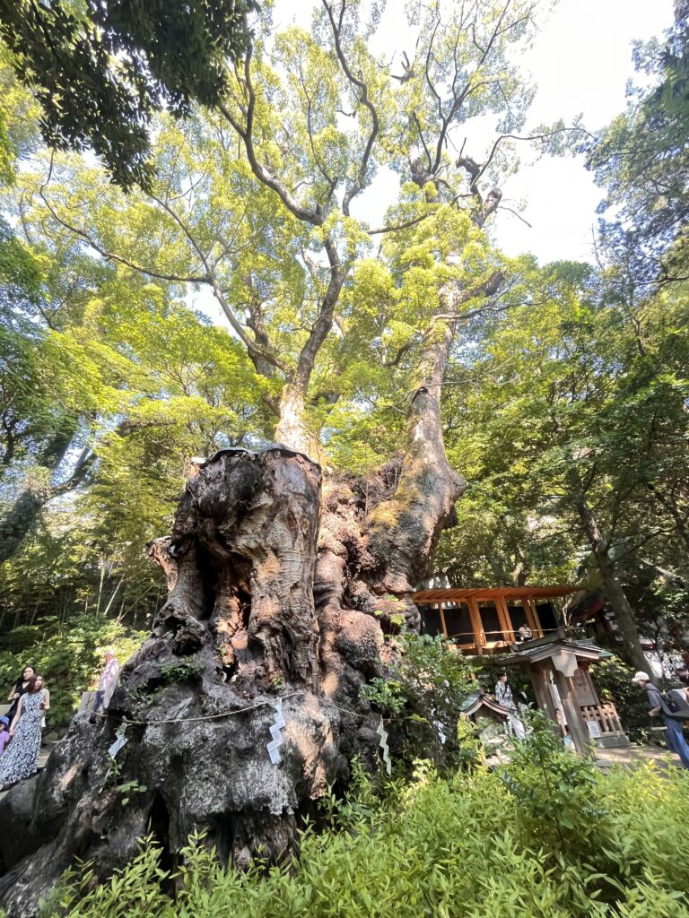 来宮神社