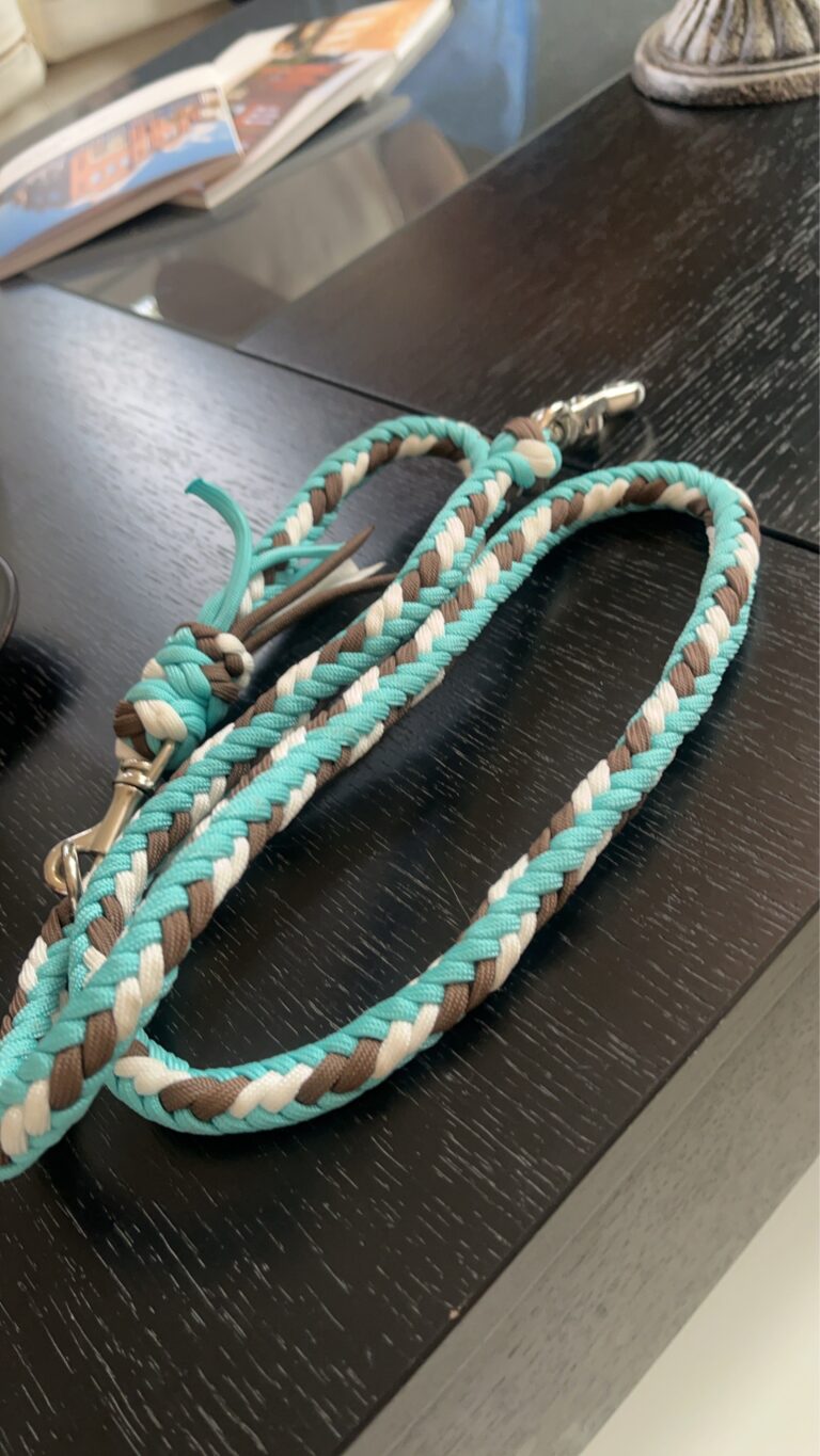 ワークショップ開催