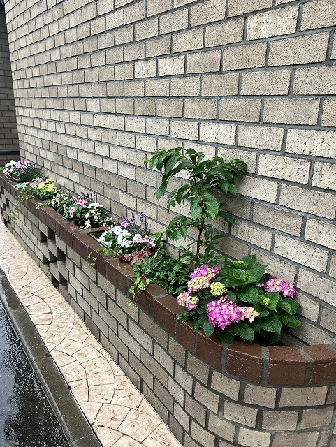 散歩の目のやすらぎに