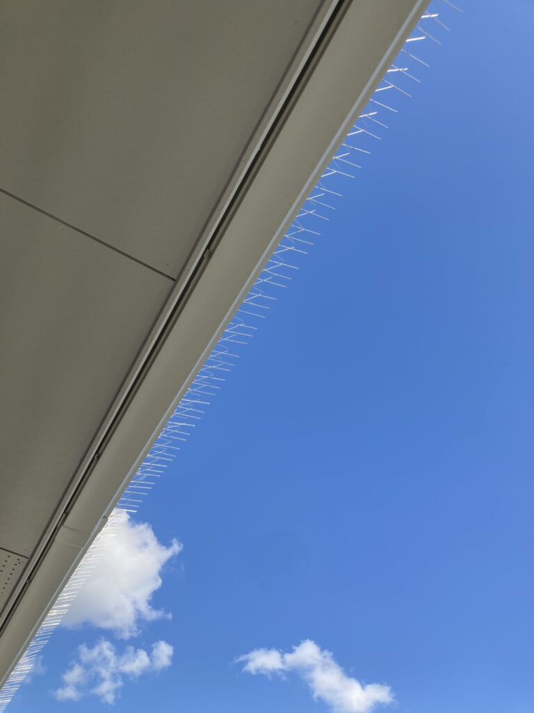 チクチク