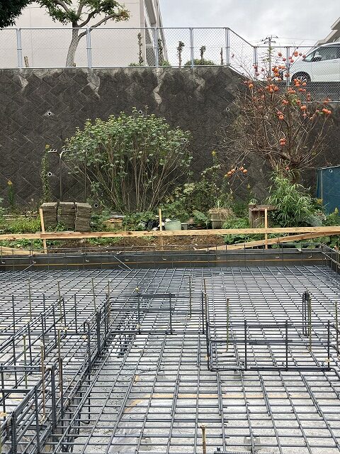 柿　基礎　