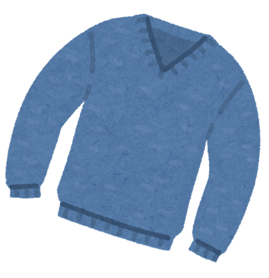 fashion_sweater_v