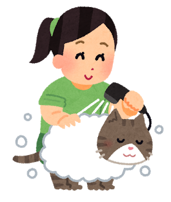 wash_pet_cat