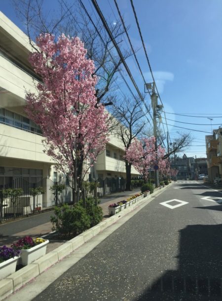 港南区のレンガの家は近代ホームへ