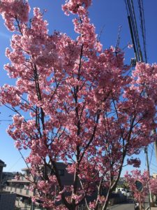 横浜のレンガの家は近代ホームへ