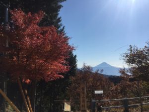 横浜の健康住宅は近代ホームへ