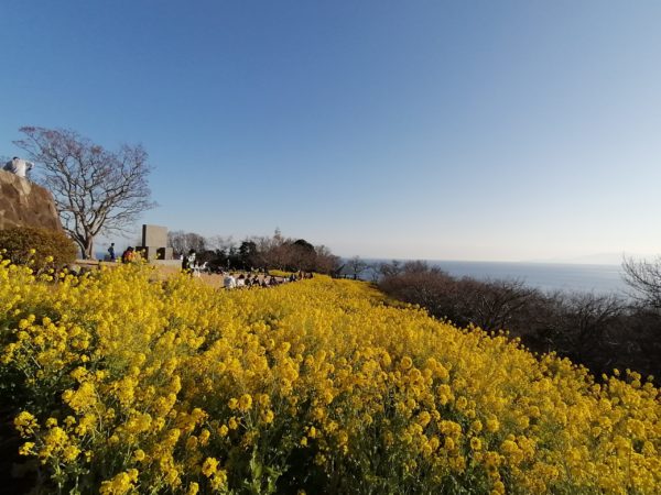 横浜の健康住宅は近代ホームへ