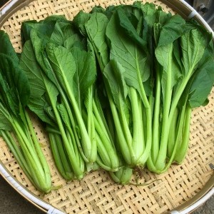 緑黄色野菜の話？