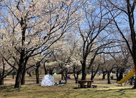 横浜の健康住宅は近代ホームへ