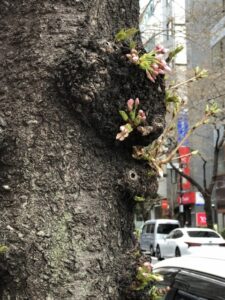 横浜の注文住宅は近代ホームへ