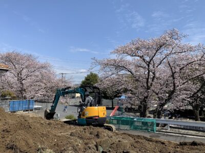 桜と工事