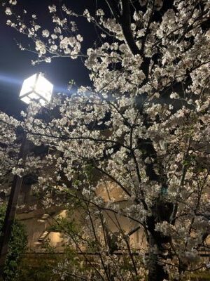 夜のランニング